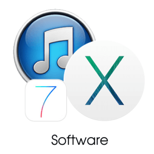 software_original